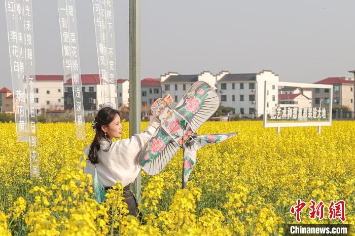 江西南昌:金色油菜花迎春绽放 铺满大地绘就秀美乡村画卷(图1) 江西南昌:金色油菜花迎春绽放 铺满大地绘就秀美乡村画卷(图1)