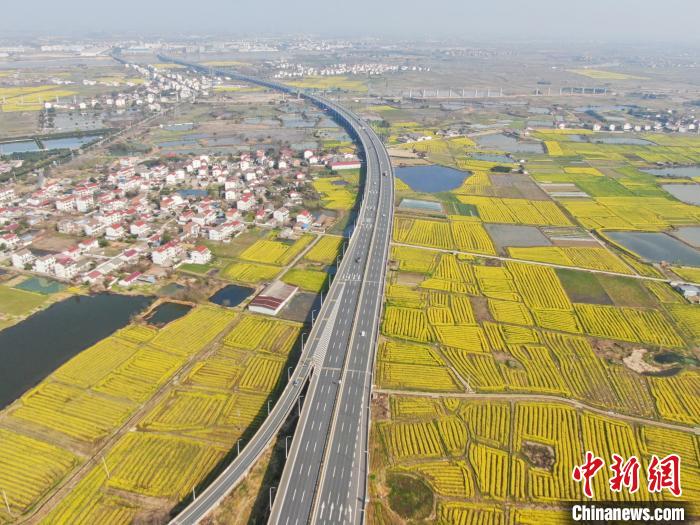 江西南昌:金色油菜花迎春绽放 铺满大地绘就秀美乡村画卷(图8) 江西南昌:金色油菜花迎春绽放 铺满大地绘就秀美乡村画卷(图8)