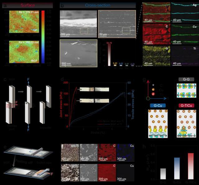 面向极端热管理的双向高导热且结构超稳定的石墨烯基厚膜(图3)