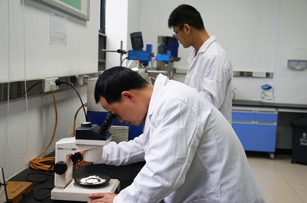 绵竹：抢占新质生产力“新赛道” 跑出高质量发展“加速度”(图1)