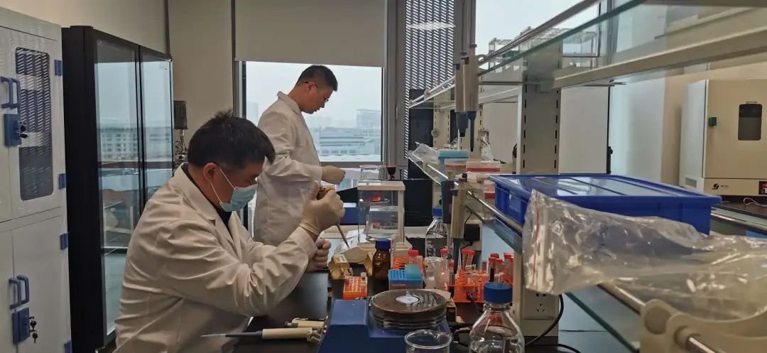 宝山这家企业以“科技创新”打破国际垄断(图1)