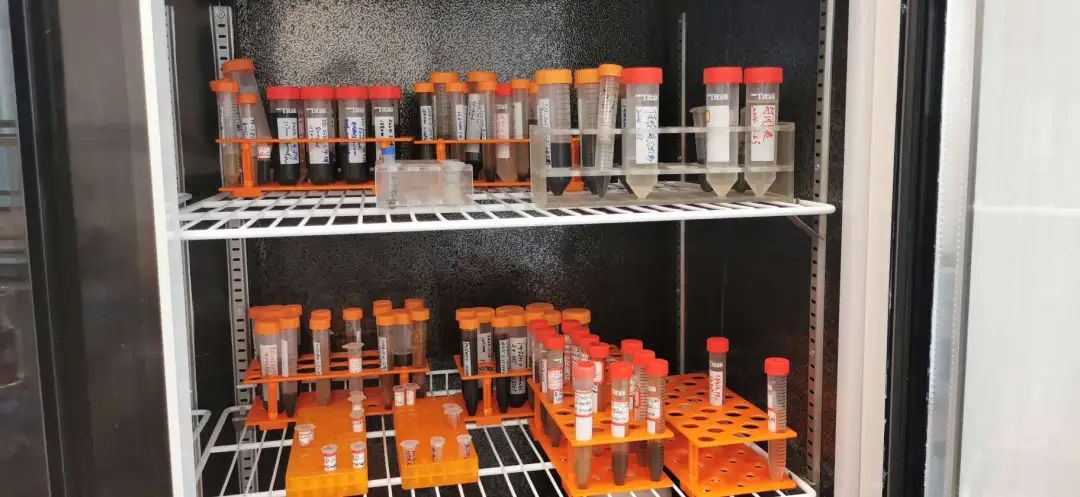 宝山这家企业以“科技创新”打破国际垄断(图2)