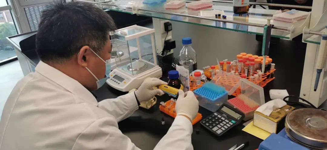 宝山这家企业以“科技创新”打破国际垄断(图3)