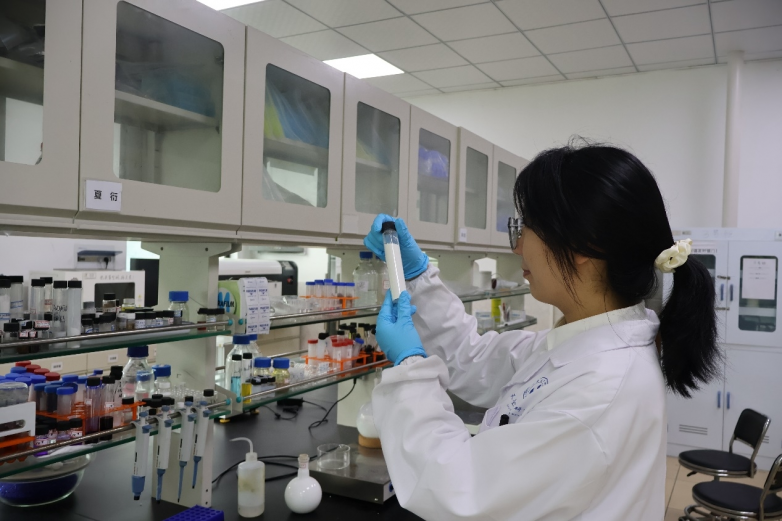 “00”后大学生洪雨彤：辟无氟抗滴落新天地展材料火安全新篇章(图1)