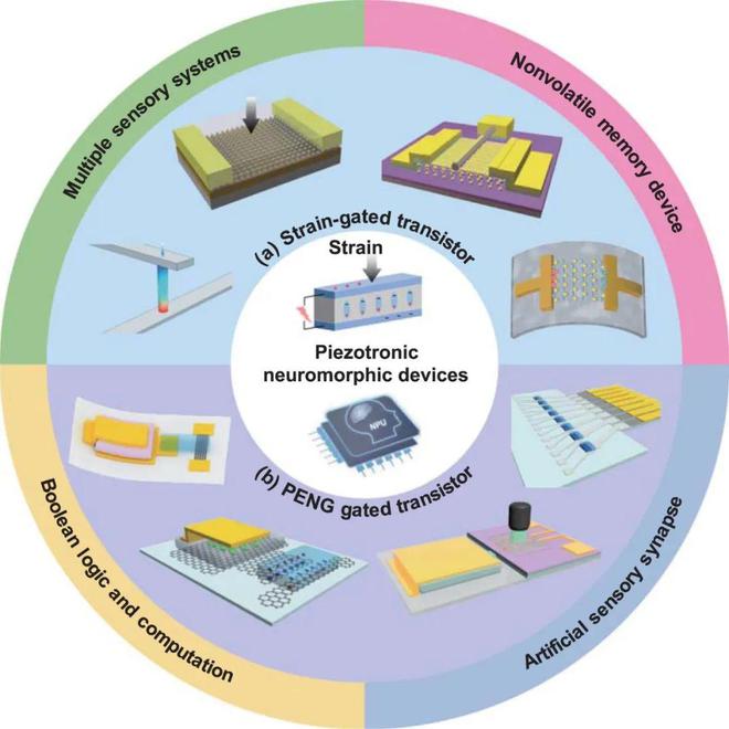 极端制造 压电电子学神经形态器件：原理、制造及应用(图1)