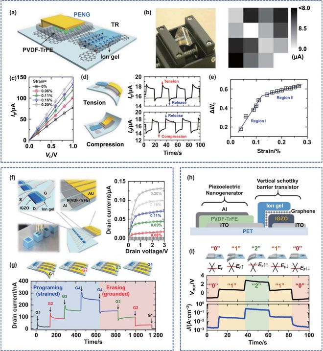 极端制造 压电电子学神经形态器件：原理、制造及应用(图5)