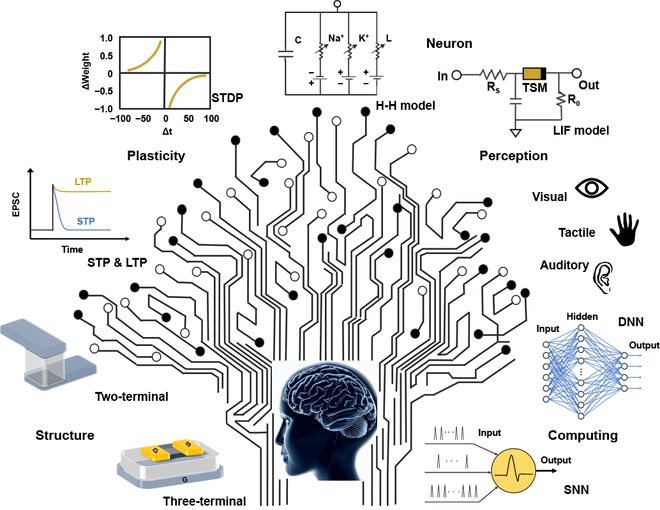极端制造 压电电子学神经形态器件：原理、制造及应用(图9)
