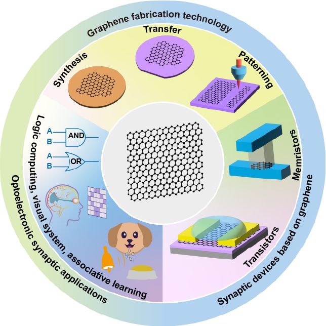 极端制造 压电电子学神经形态器件：原理、制造及应用(图10)