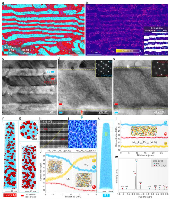 突破传统共晶材料强塑性记录!上海大学钟云波团队实现一种超级位错网结构共晶合金(图1) 突破传统共晶材料强塑性记录!上海大学钟云波团队实现一种超级位错网结构共晶合金(图1)