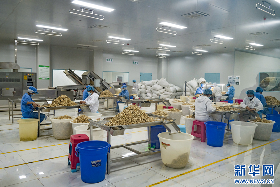 聚焦高质量发展|云南:资源经济势头旺 产业发展谱新篇_新华网(图4) 聚焦高质量发展|云南:资源经济势头旺 产业发展谱新篇_新华网(图4)