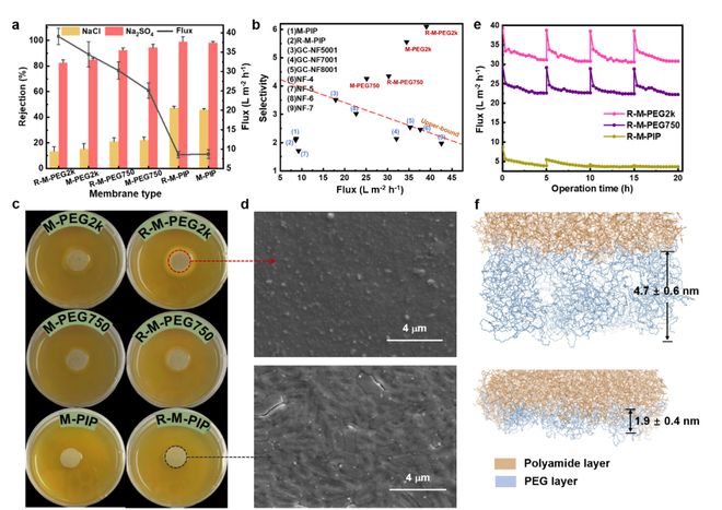 上海交大董瑞蛟团队Angew Chem:非对称抗菌嵌段共聚物纳米膜用于天然水的高效纯化(图3) 上海交大董瑞蛟团队Angew Chem:非对称抗菌嵌段共聚物纳米膜用于天然水的高效纯化(图3)