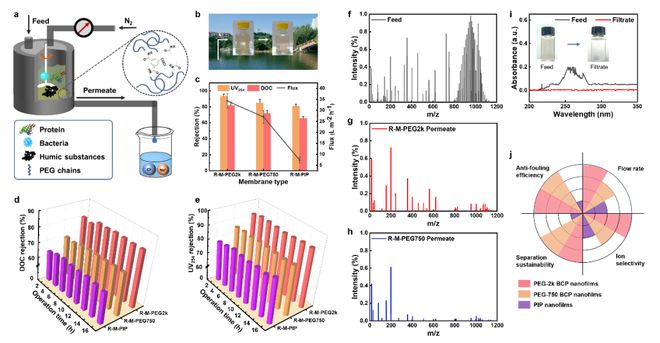 上海交大董瑞蛟团队Angew Chem:非对称抗菌嵌段共聚物纳米膜用于天然水的高效纯化(图4) 上海交大董瑞蛟团队Angew Chem:非对称抗菌嵌段共聚物纳米膜用于天然水的高效纯化(图4)