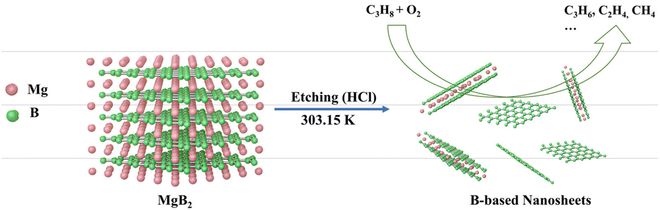 “纳米化学之父” 80 岁生日快乐!(图9) “纳米化学之父” 80 岁生日快乐!(图9)