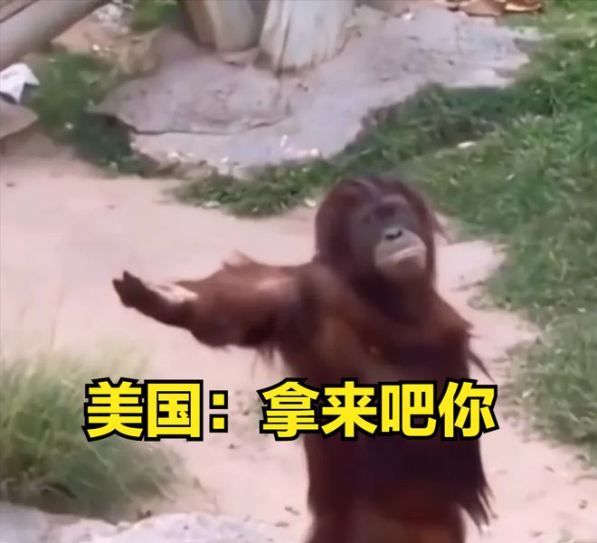 拿来吧你!中国首次在月壤中找到天然纳米材料!美国航天:求合作(图9) 拿来吧你!中国首次在月壤中找到天然纳米材料!美国航天:求合作(图9)