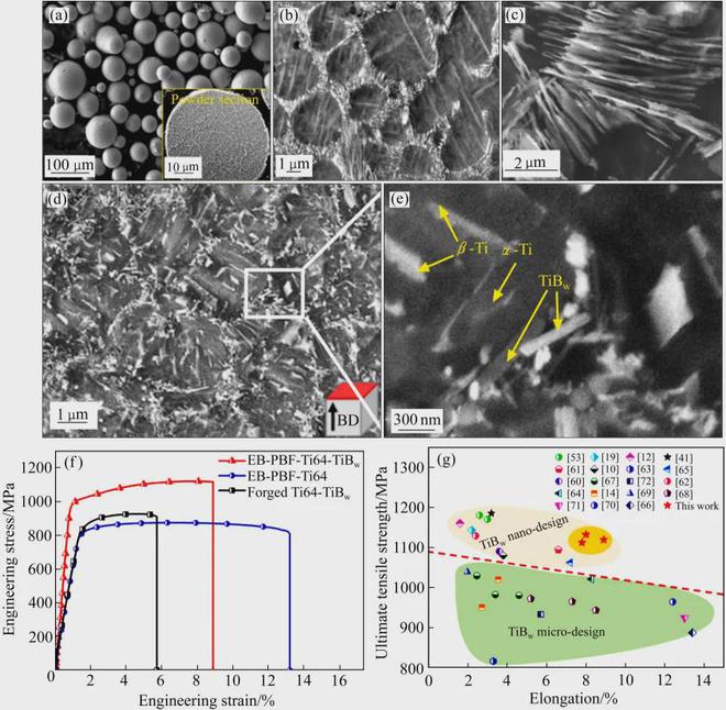 西安理工大学李树丰教授 l 增材制造硼化钛增强钛基复合材料的研究进展(图10)