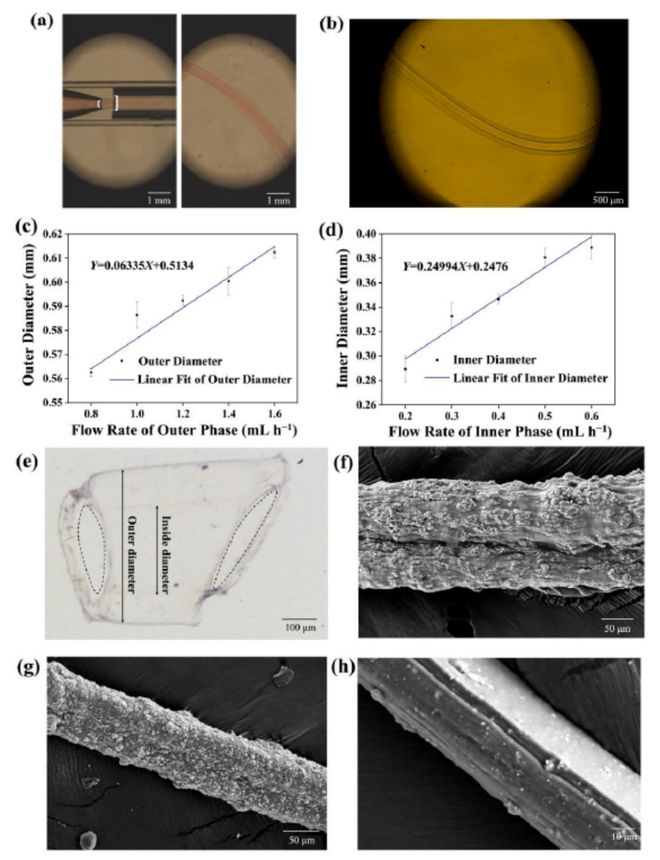 用于传感器和微电机的多功能微流控纳米掺杂空心纤维(图1) 用于传感器和微电机的多功能微流控纳米掺杂空心纤维(图1)