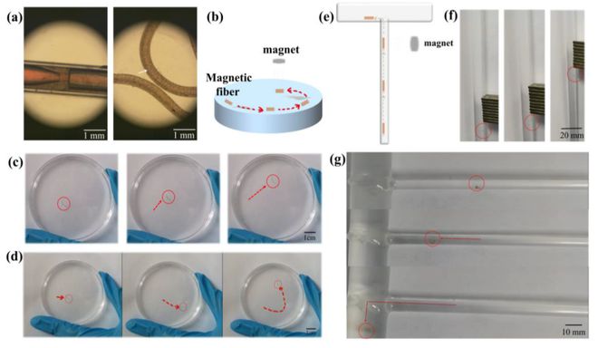 用于传感器和微电机的多功能微流控纳米掺杂空心纤维(图4) 用于传感器和微电机的多功能微流控纳米掺杂空心纤维(图4)