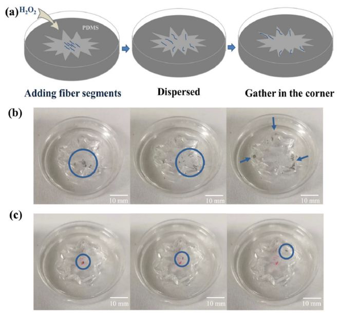 用于传感器和微电机的多功能微流控纳米掺杂空心纤维(图5) 用于传感器和微电机的多功能微流控纳米掺杂空心纤维(图5)
