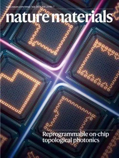 【聚焦科研热点】电池材料科学：前沿探索与创新实践——能源存储技术的最新进展(图7)