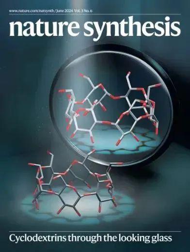 【聚焦科研热点】电池材料科学：前沿探索与创新实践——能源存储技术的最新进展(图11)