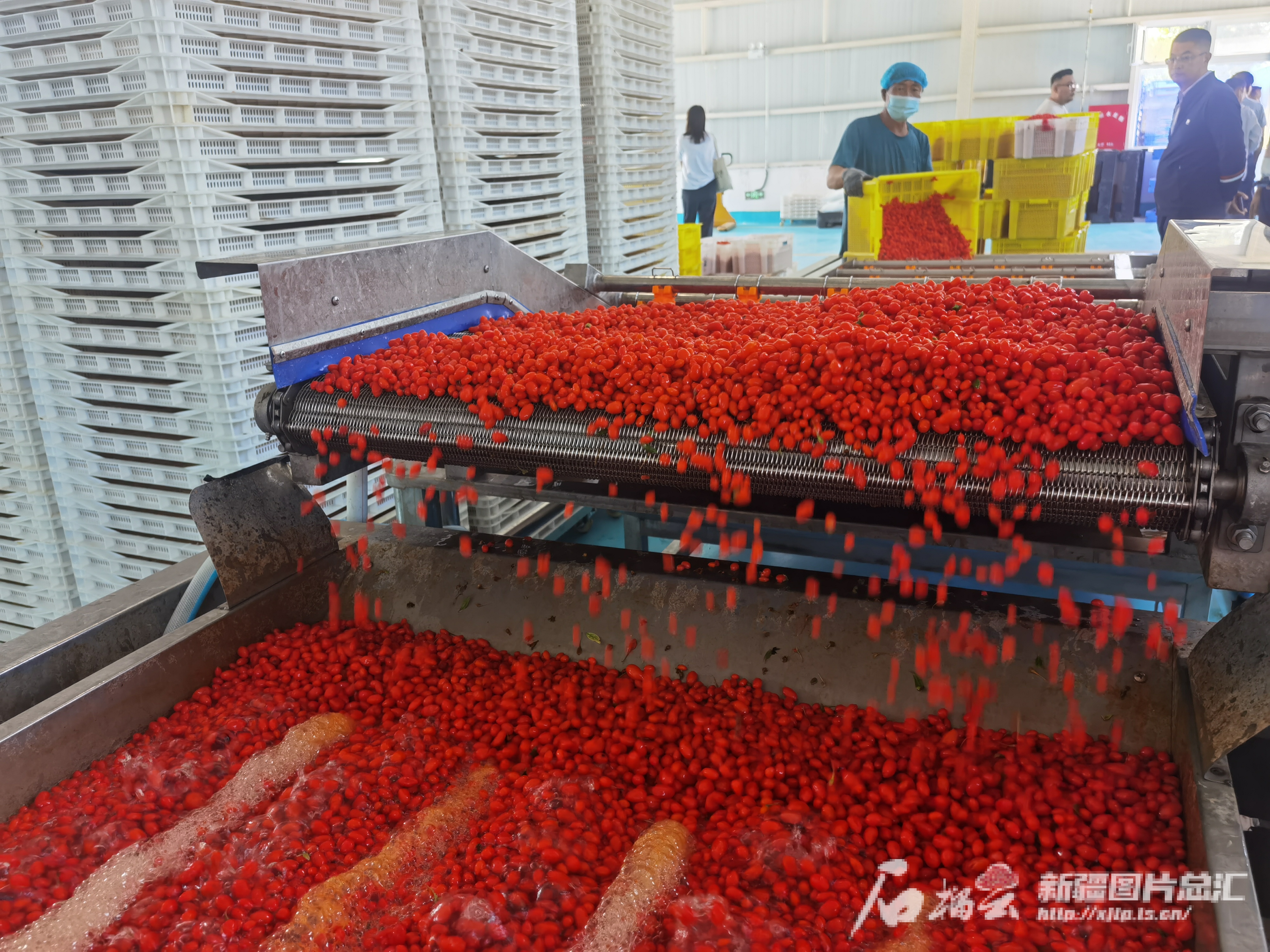 博州六大重点产业“晒”出成绩单(图1)