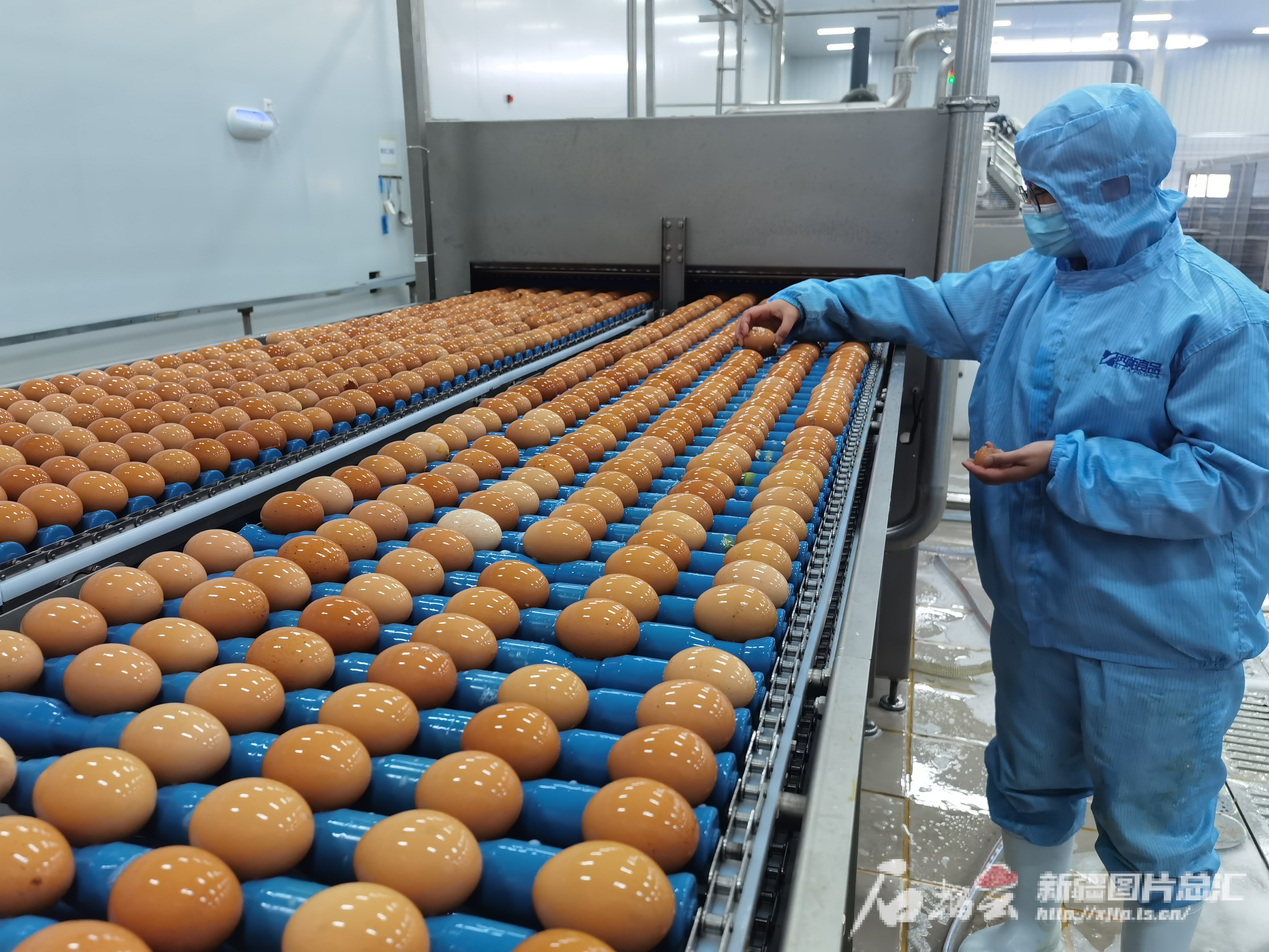 博州六大重点产业“晒”出成绩单(图2)