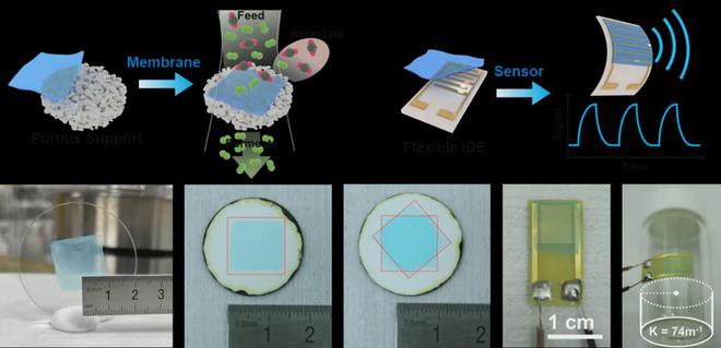 浙江大学Science!中国科学院金属所Science!(图5) 浙江大学Science!中国科学院金属所Science!(图5)