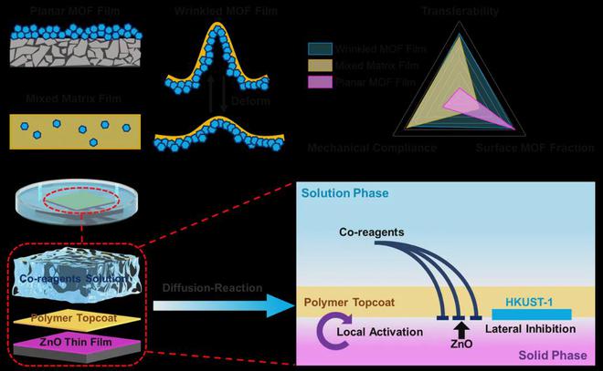 浙江大学Science!中国科学院金属所Science!(图3) 浙江大学Science!中国科学院金属所Science!(图3)