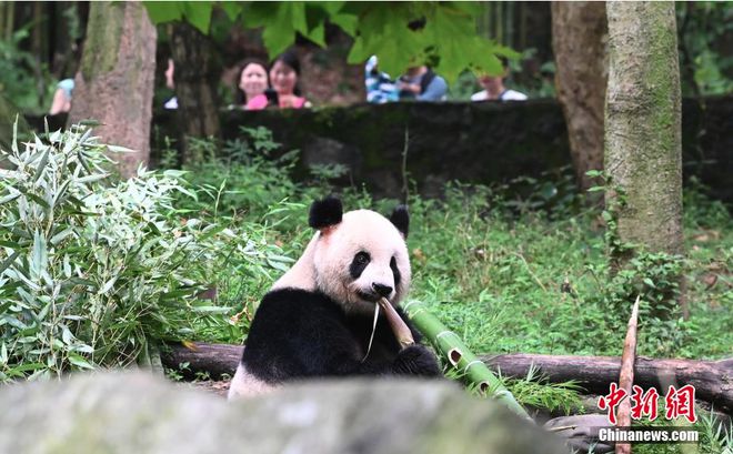 朔州:查处一起卖淫嫖娼案件曹某已被拘!(图5) 朔州:查处一起卖淫嫖娼案件曹某已被拘!(图5)