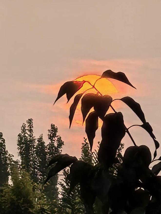 朔州:查处一起卖淫嫖娼案件曹某已被拘!(图15) 朔州:查处一起卖淫嫖娼案件曹某已被拘!(图15)